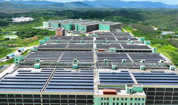 尊龙凯时智能化楼房养殖项目介绍